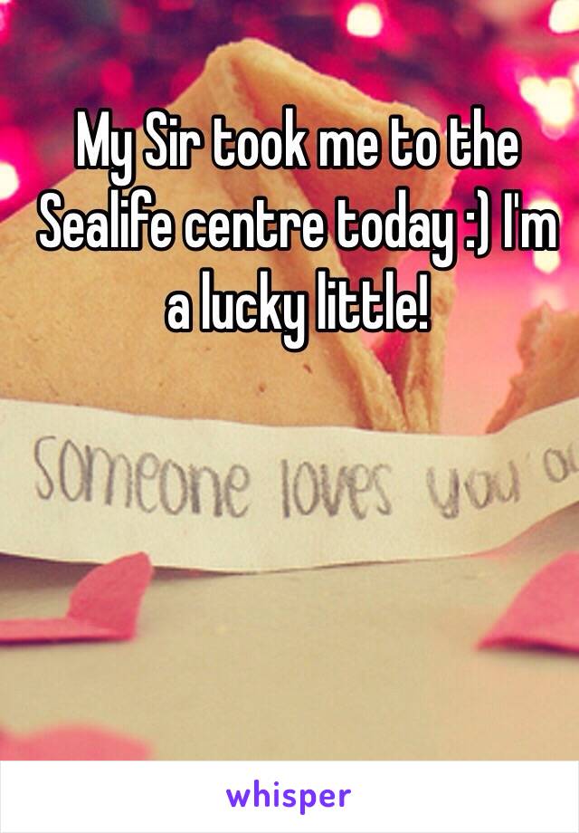 My Sir took me to the Sealife centre today :) I'm a lucky little! 