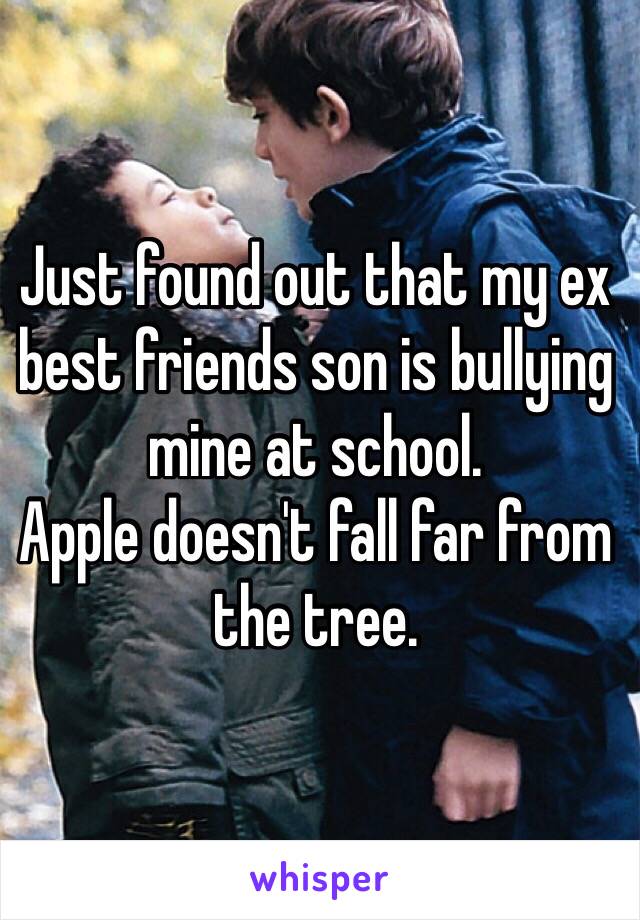 Just found out that my ex best friends son is bullying mine at school. 
Apple doesn't fall far from the tree. 