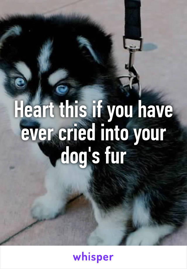 Heart this if you have ever cried into your dog's fur