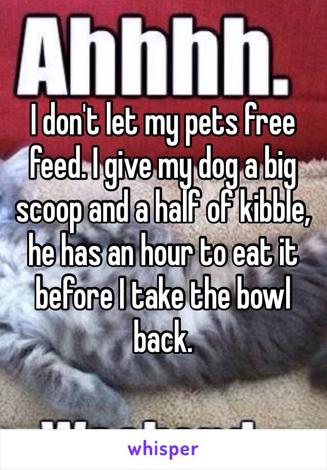 I don't let my pets free feed. I give my dog a big scoop and a half of kibble, he has an hour to eat it before I take the bowl back.