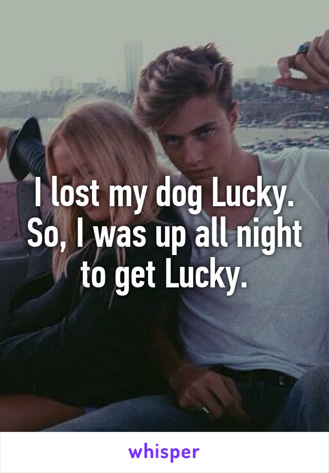 I lost my dog Lucky. So, I was up all night to get Lucky.