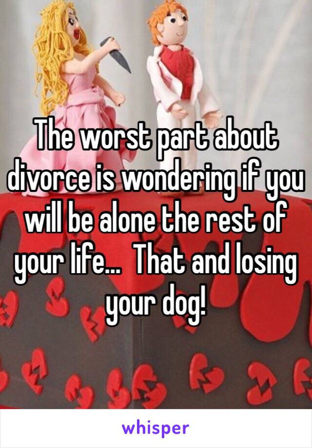 The worst part about divorce is wondering if you will be alone the rest of your life...  That and losing your dog!