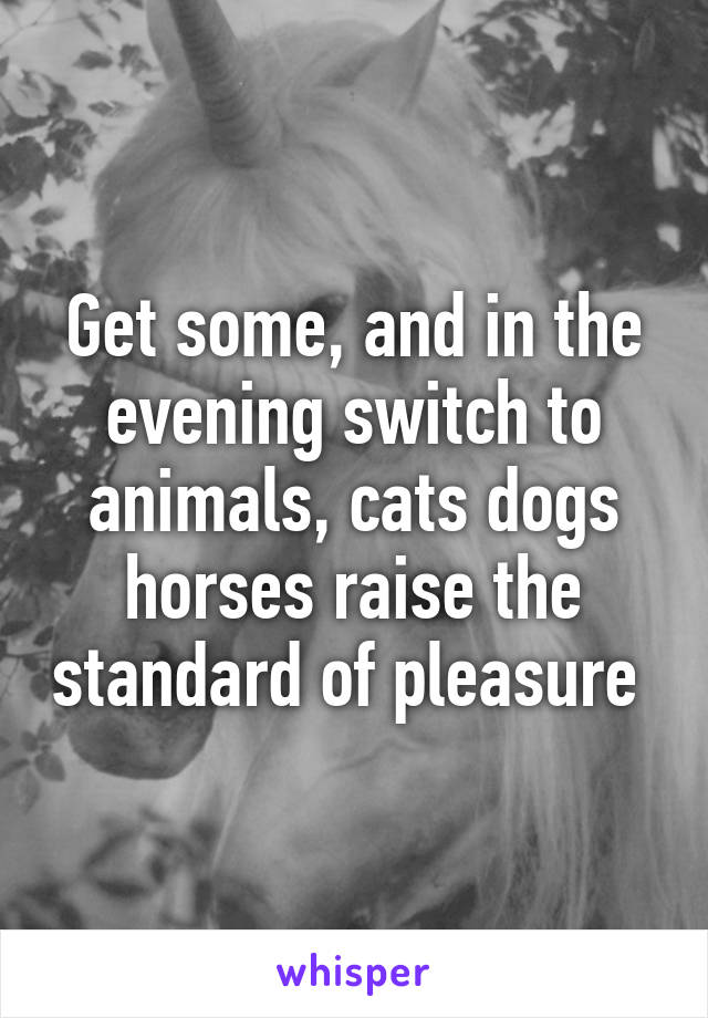 Get some, and in the evening switch to animals, cats dogs horses raise the standard of pleasure 