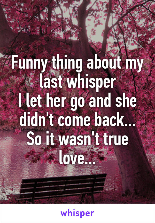Funny thing about my last whisper
I let her go and she didn't come back... So it wasn't true love...