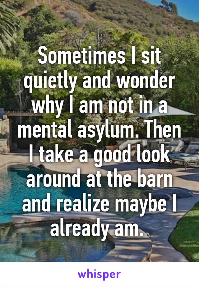 Sometimes I sit quietly and wonder why I am not in a mental asylum. Then I take a good look around at the barn and realize maybe I already am. 