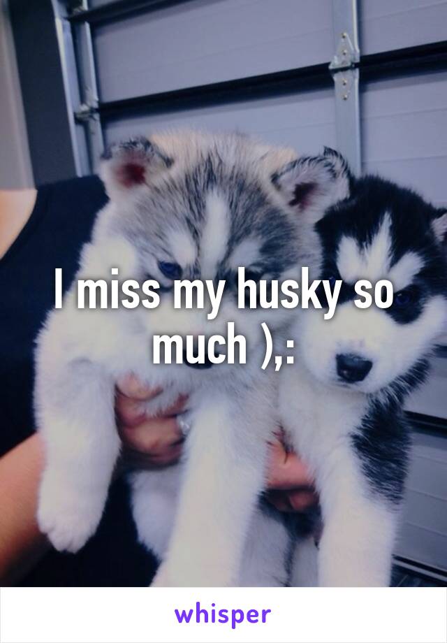 I miss my husky so much ),: