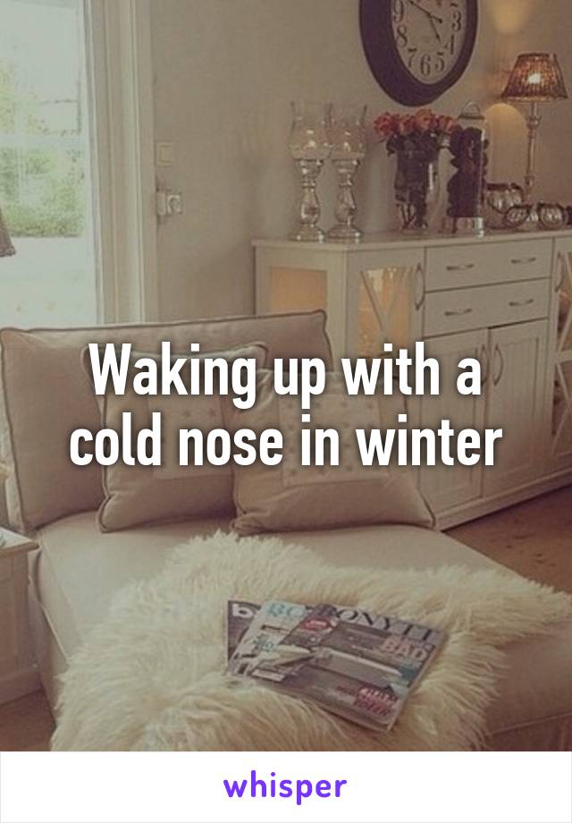 Waking up with a cold nose in winter