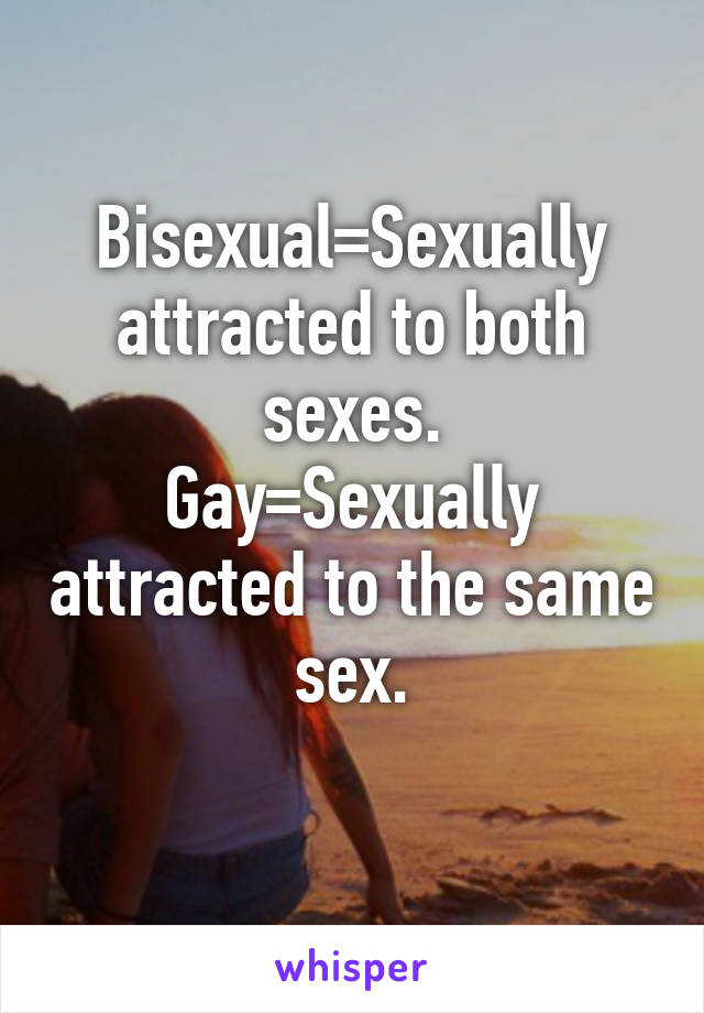 Bisexual=Sexually attracted to both sexes.
Gay=Sexually attracted to the same sex.
