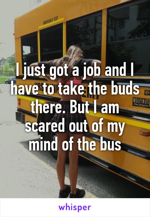 I just got a job and I have to take the buds there. But I am scared out of my mind of the bus