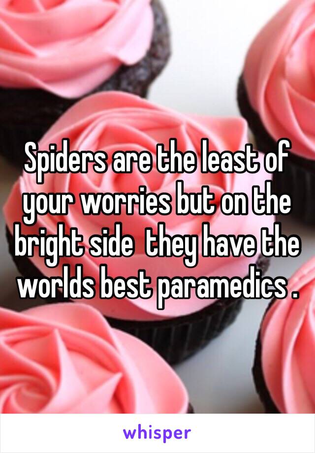 Spiders are the least of your worries but on the bright side  they have the worlds best paramedics .