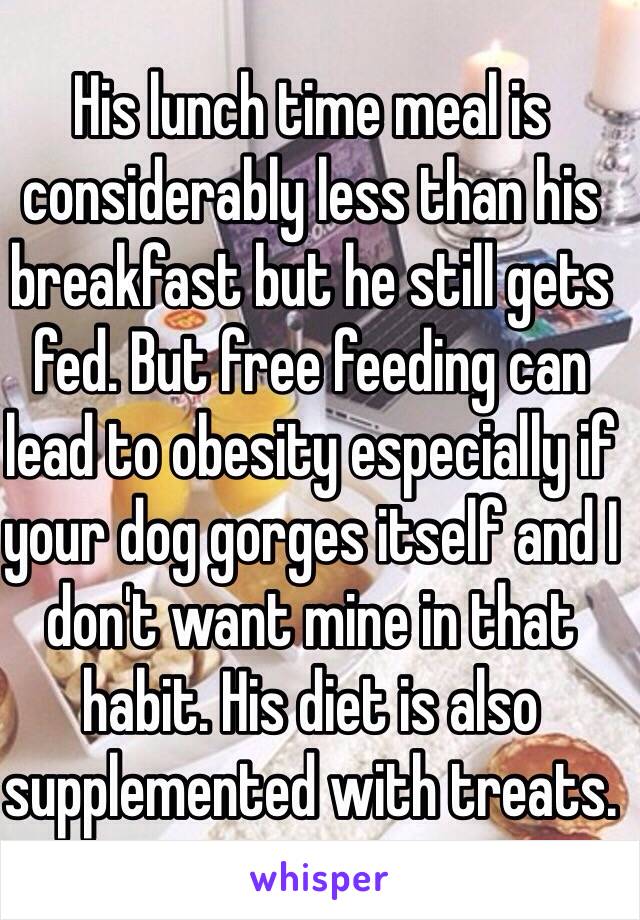 His lunch time meal is considerably less than his breakfast but he still gets fed. But free feeding can lead to obesity especially if your dog gorges itself and I don't want mine in that habit. His diet is also supplemented with treats.