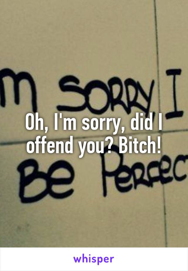 Oh, I'm sorry, did I offend you? Bitch!