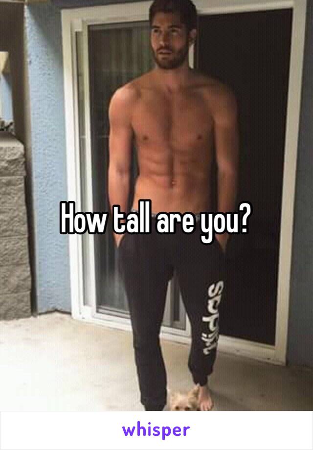 How tall are you?