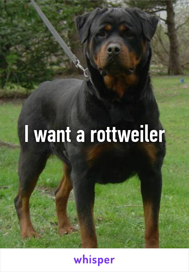 I want a rottweiler