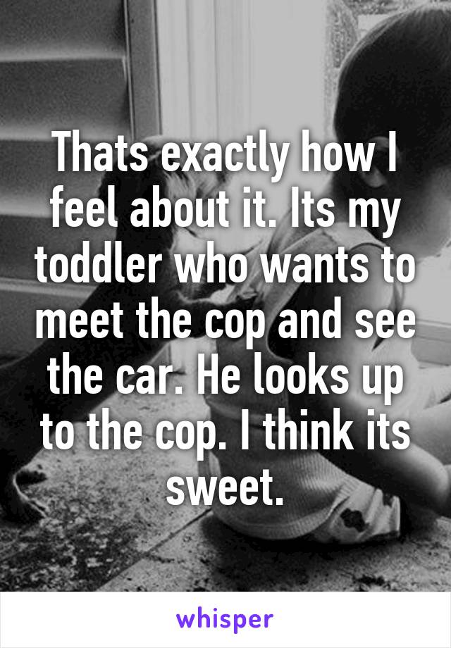 Thats exactly how I feel about it. Its my toddler who wants to meet the cop and see the car. He looks up to the cop. I think its sweet.