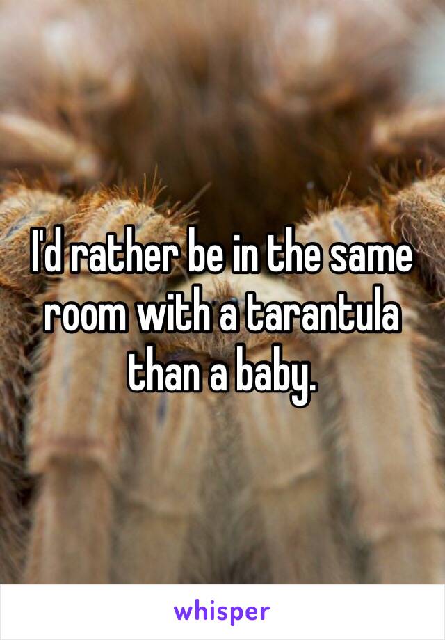 I'd rather be in the same room with a tarantula than a baby.