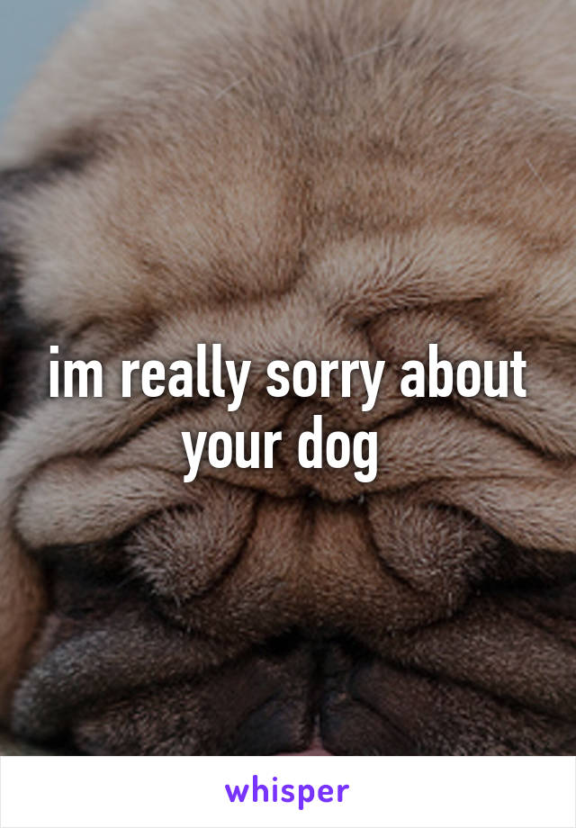 im really sorry about your dog 