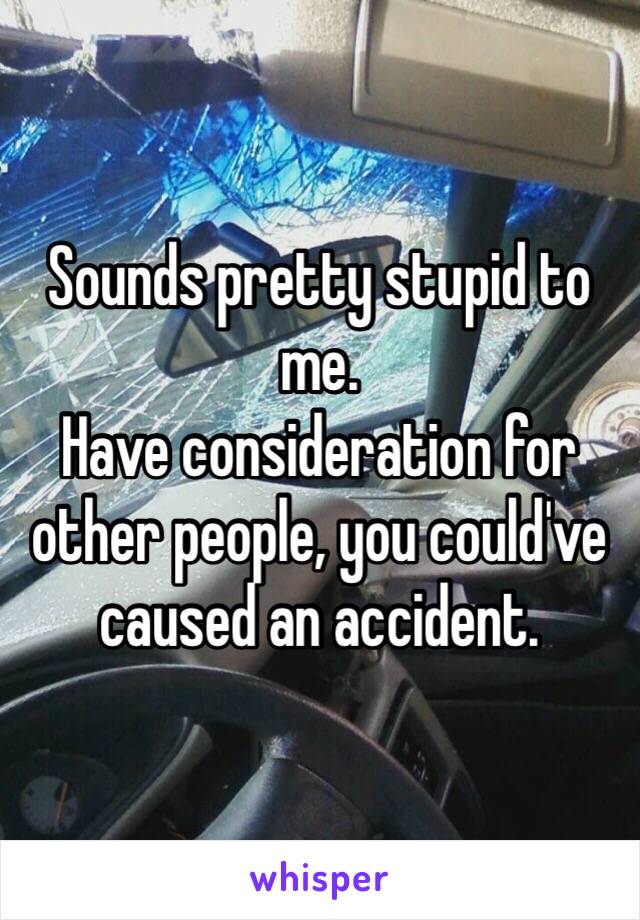 Sounds pretty stupid to me.
Have consideration for other people, you could've caused an accident.