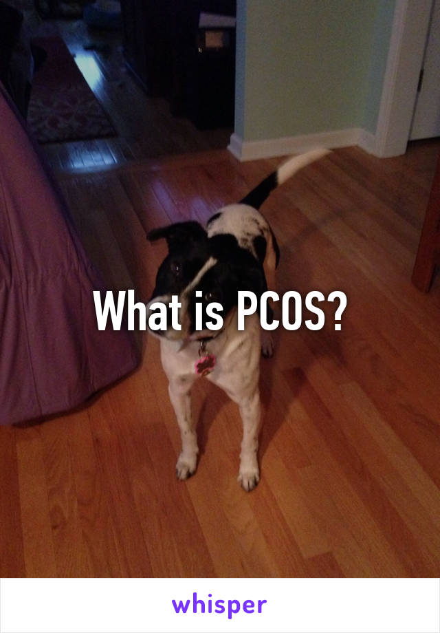 What is PCOS?