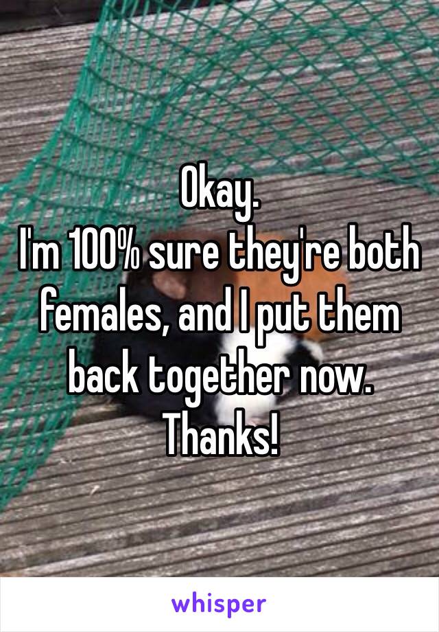 Okay.
I'm 100% sure they're both females, and I put them back together now. Thanks!