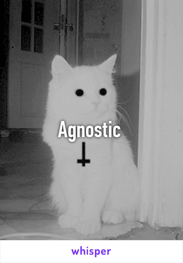 Agnostic 