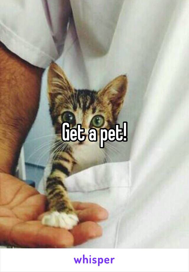 Get a pet!