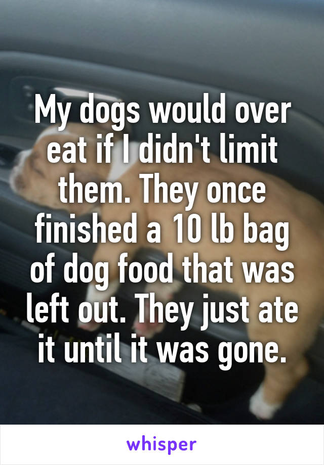 My dogs would over eat if I didn't limit them. They once finished a 10 lb bag of dog food that was left out. They just ate it until it was gone.