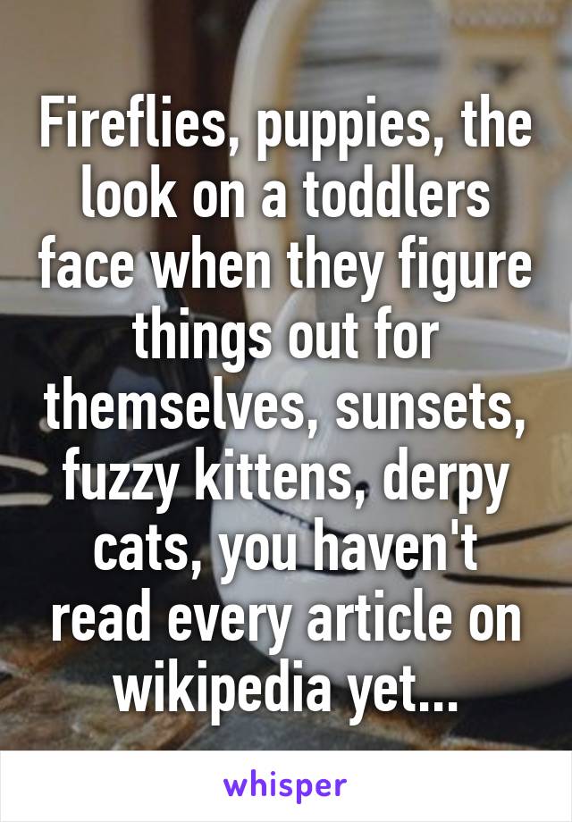Fireflies, puppies, the look on a toddlers face when they figure things out for themselves, sunsets, fuzzy kittens, derpy cats, you haven't read every article on wikipedia yet...