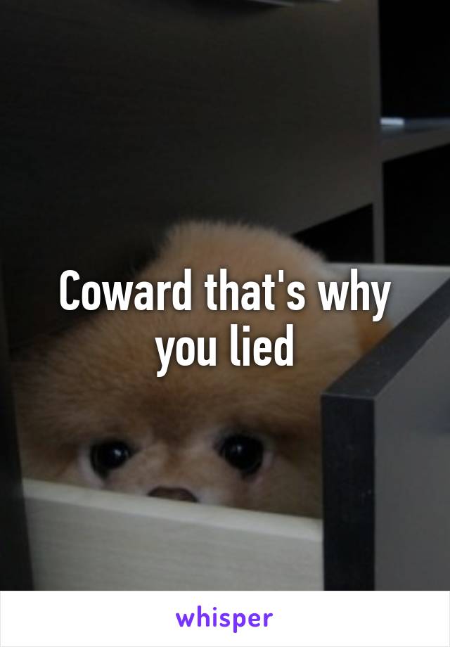 Coward that's why you lied