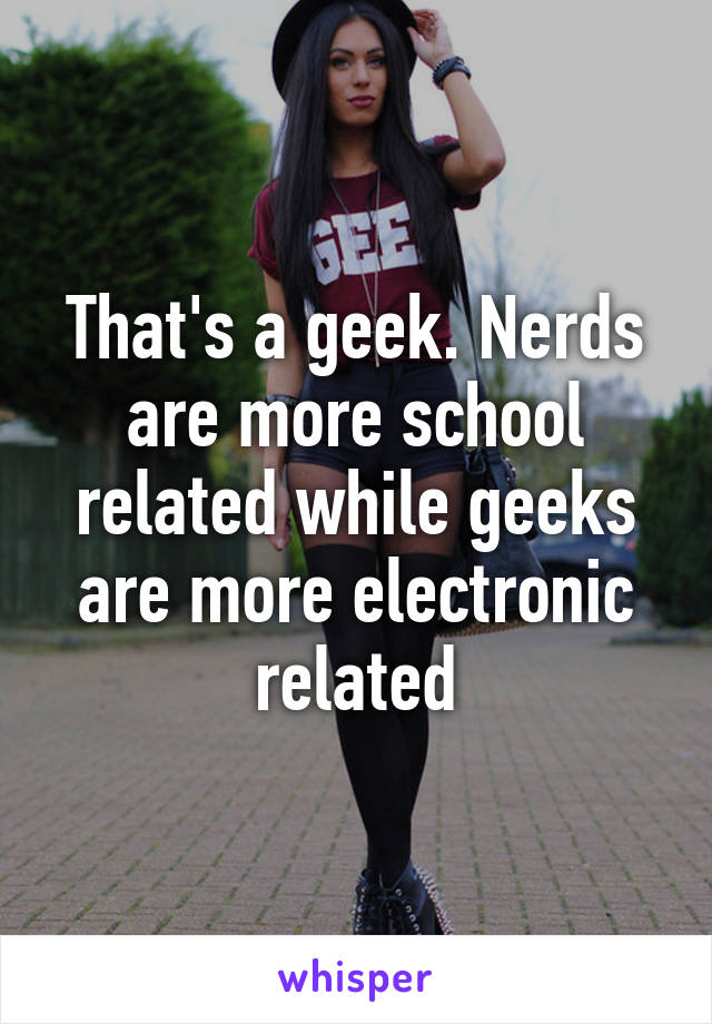 That's a geek. Nerds are more school related while geeks are more electronic related