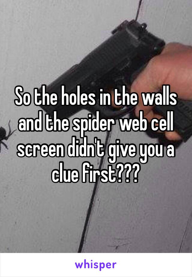 So the holes in the walls and the spider web cell screen didn't give you a clue first???