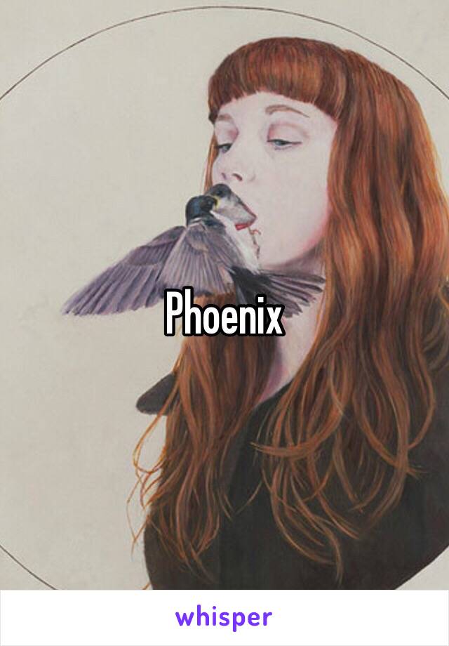 Phoenix 