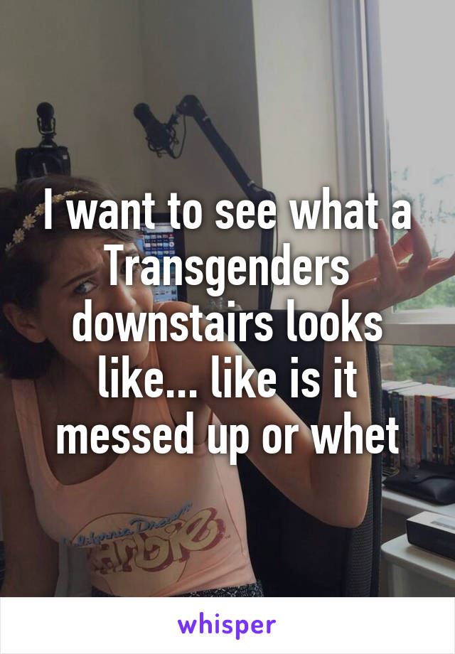 I want to see what a Transgenders downstairs looks like... like is it messed up or whet