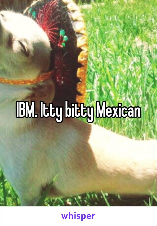 IBM. Itty bitty Mexican 