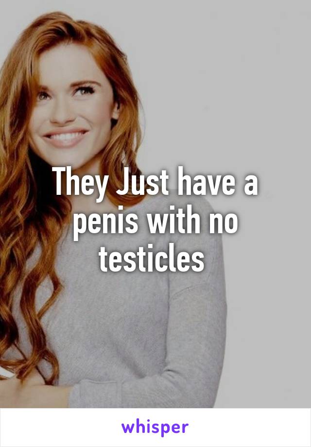 They Just have a penis with no testicles 