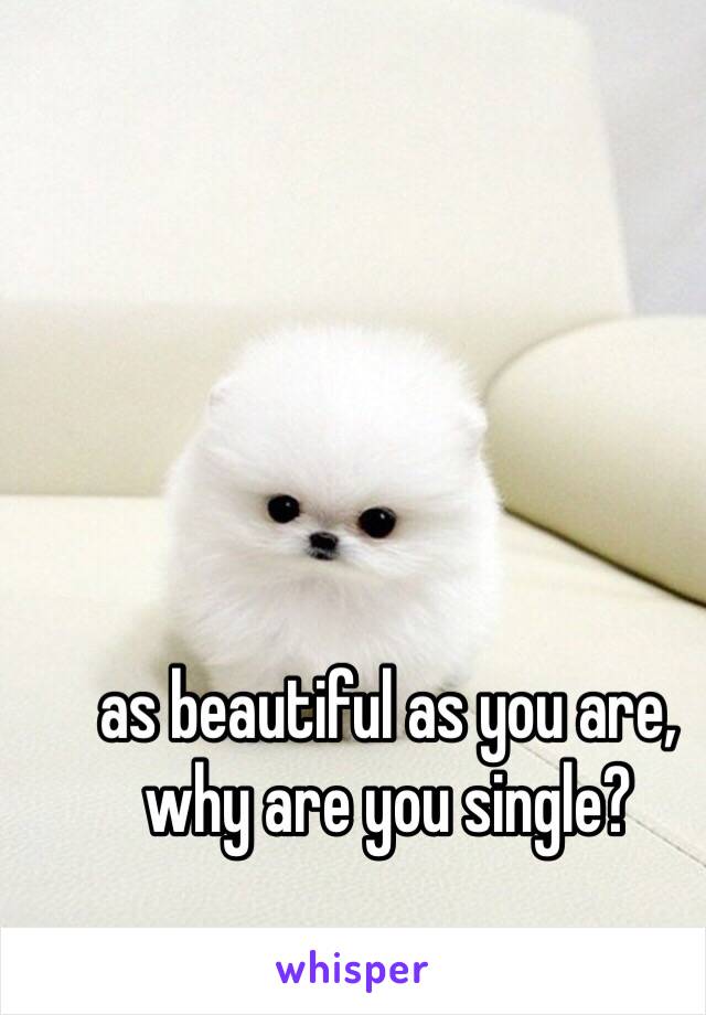 as beautiful as you are, why are you single? 