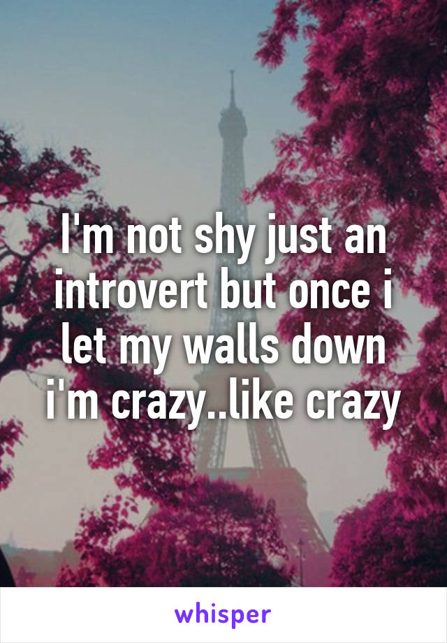 I'm not shy just an introvert but once i let my walls down i'm crazy..like crazy