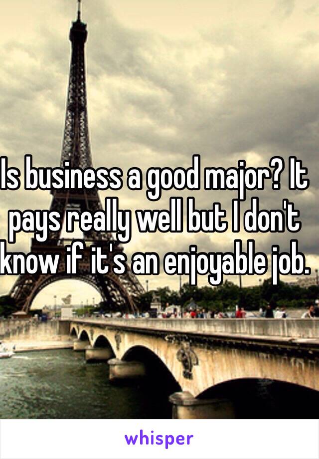 Is business a good major? It pays really well but I don't know if it's an enjoyable job. 