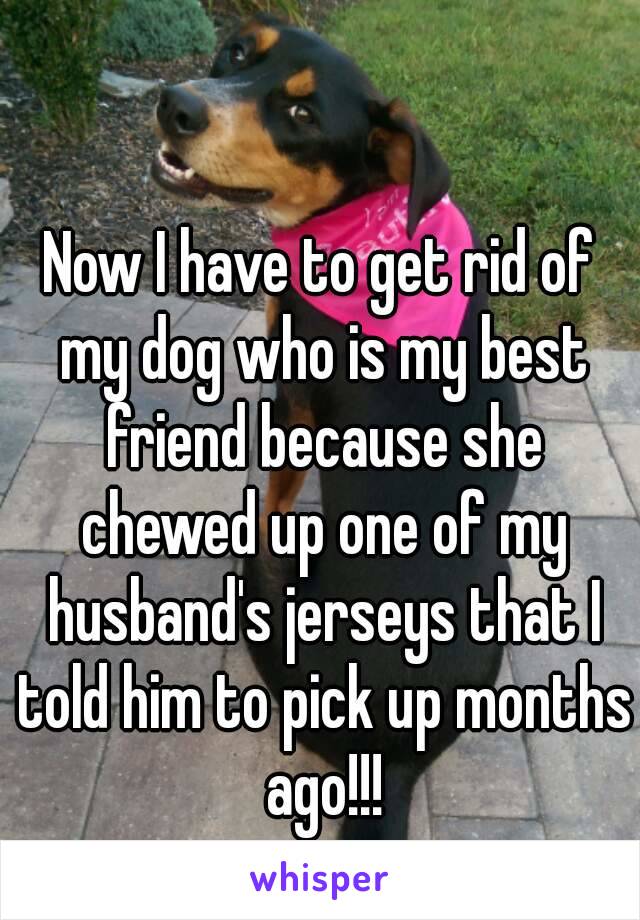 Now I have to get rid of my dog who is my best friend because she chewed up one of my husband's jerseys that I told him to pick up months ago!!!