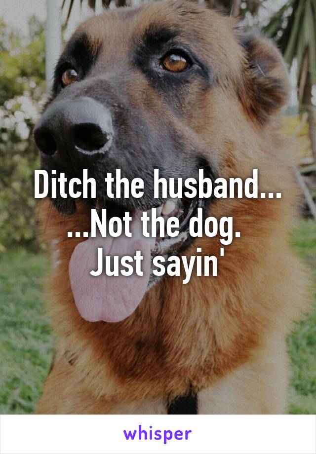 Ditch the husband...
...Not the dog. 
Just sayin'