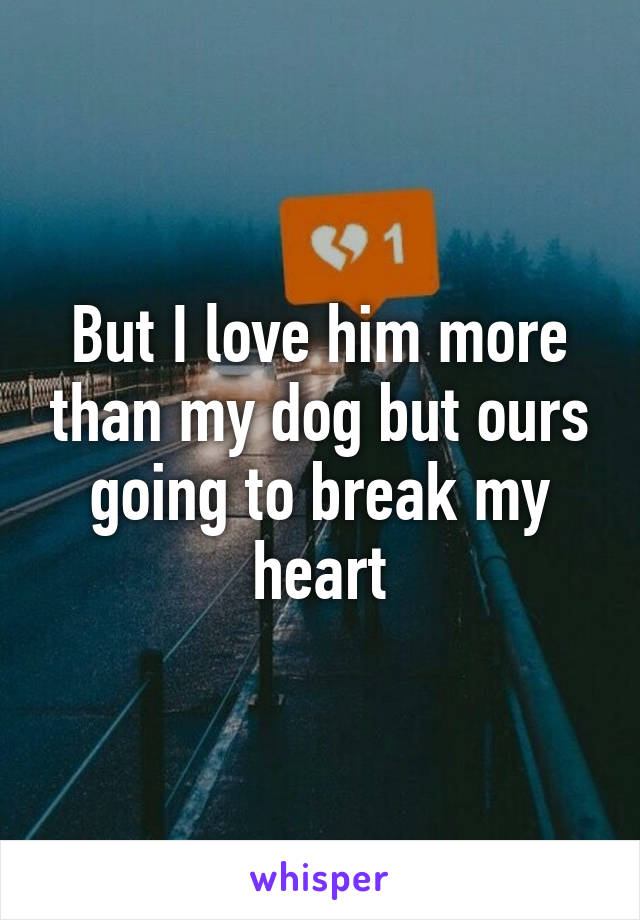 But I love him more than my dog but ours going to break my heart