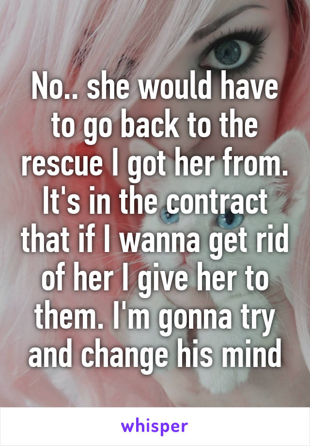 No.. she would have to go back to the rescue I got her from. It's in the contract that if I wanna get rid of her I give her to them. I'm gonna try and change his mind