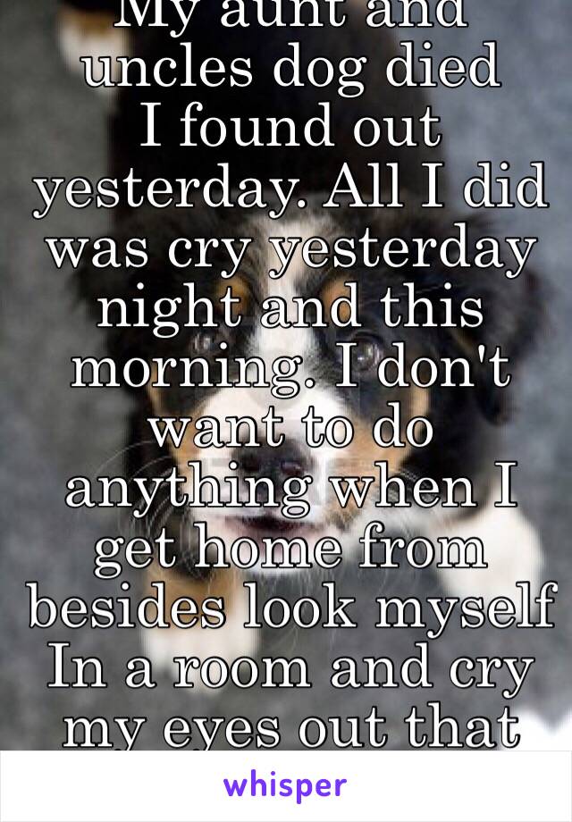 My aunt and uncles dog died
I found out yesterday. All I did was cry yesterday night and this morning. I don't want to do anything when I get home from besides look myself In a room and cry my eyes out that all I've been doing today.😭😔