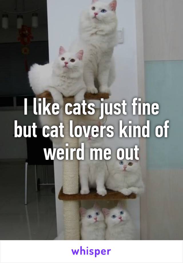 I like cats just fine but cat lovers kind of weird me out