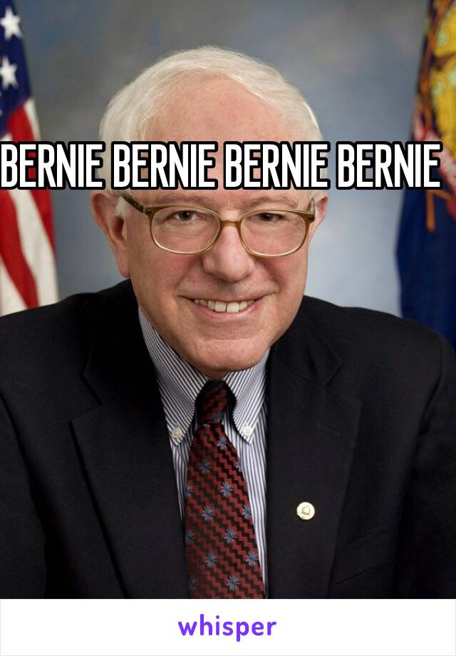 BERNIE BERNIE BERNIE BERNIE 