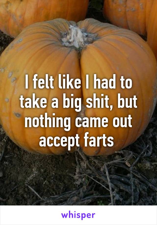 I felt like I had to take a big shit, but nothing came out accept farts 