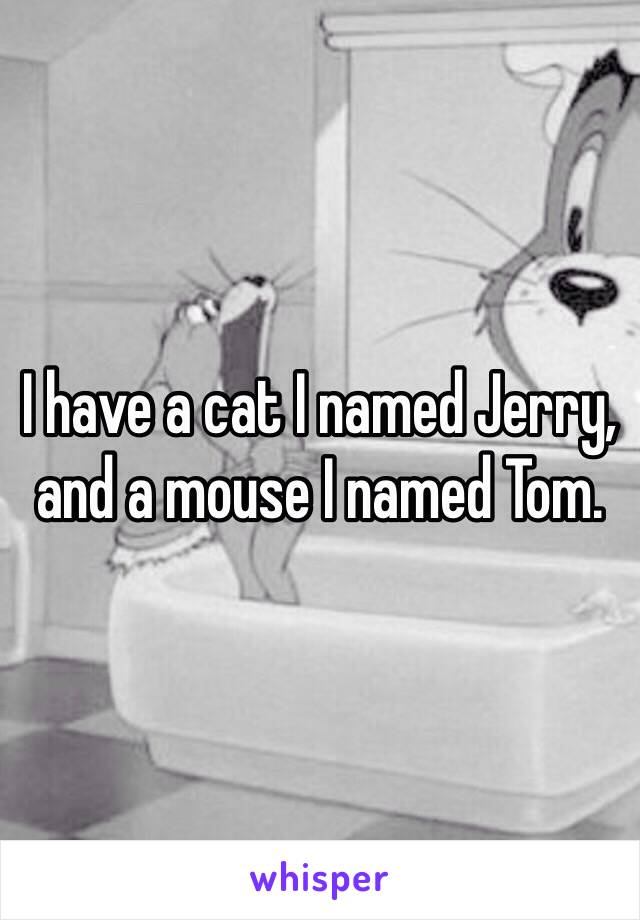 I have a cat I named Jerry, and a mouse I named Tom.