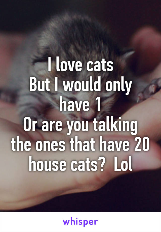 I love cats
But I would only have 1
Or are you talking the ones that have 20 house cats?  Lol