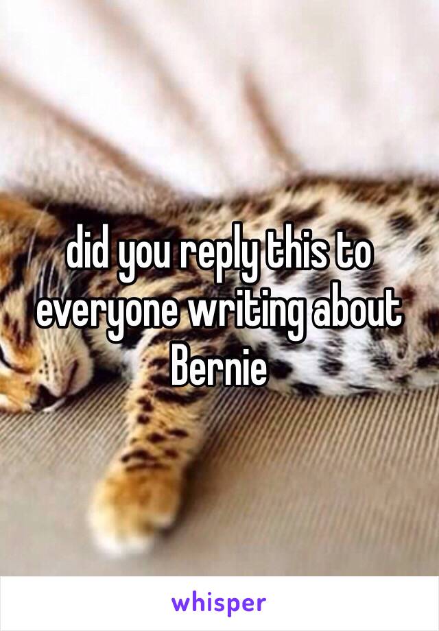 did you reply this to everyone writing about Bernie