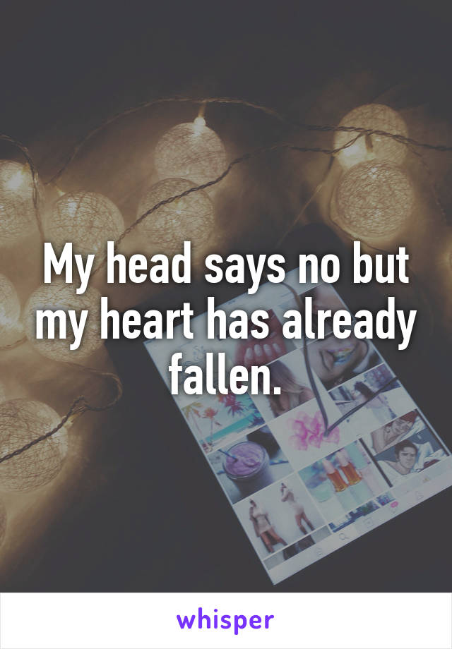 My head says no but my heart has already fallen.